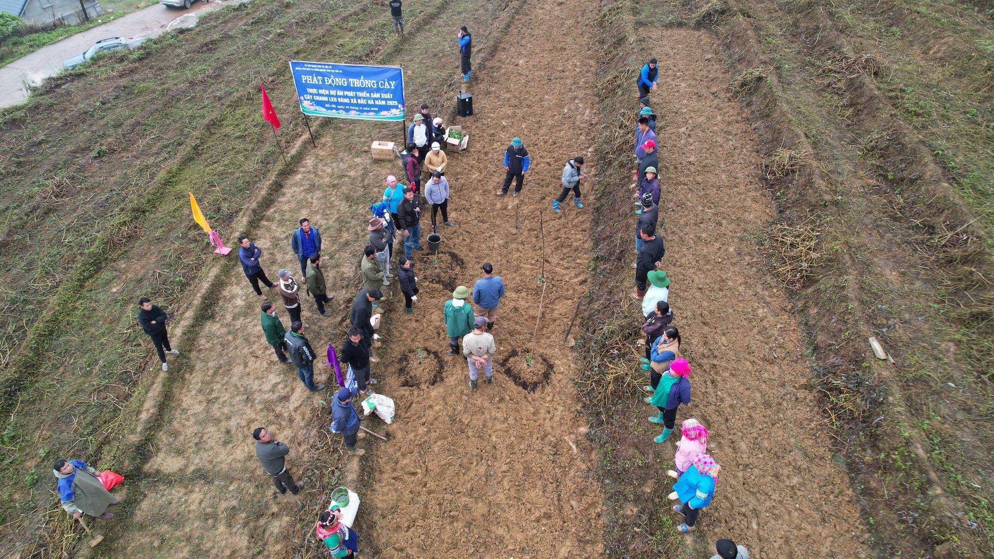 Lào Cai: Xã Bắc Hà phát động trồng cây chanh leo vàng, mở hướng phát triển kinh tế bền vững cho người dân vùng cao - Ảnh 1.