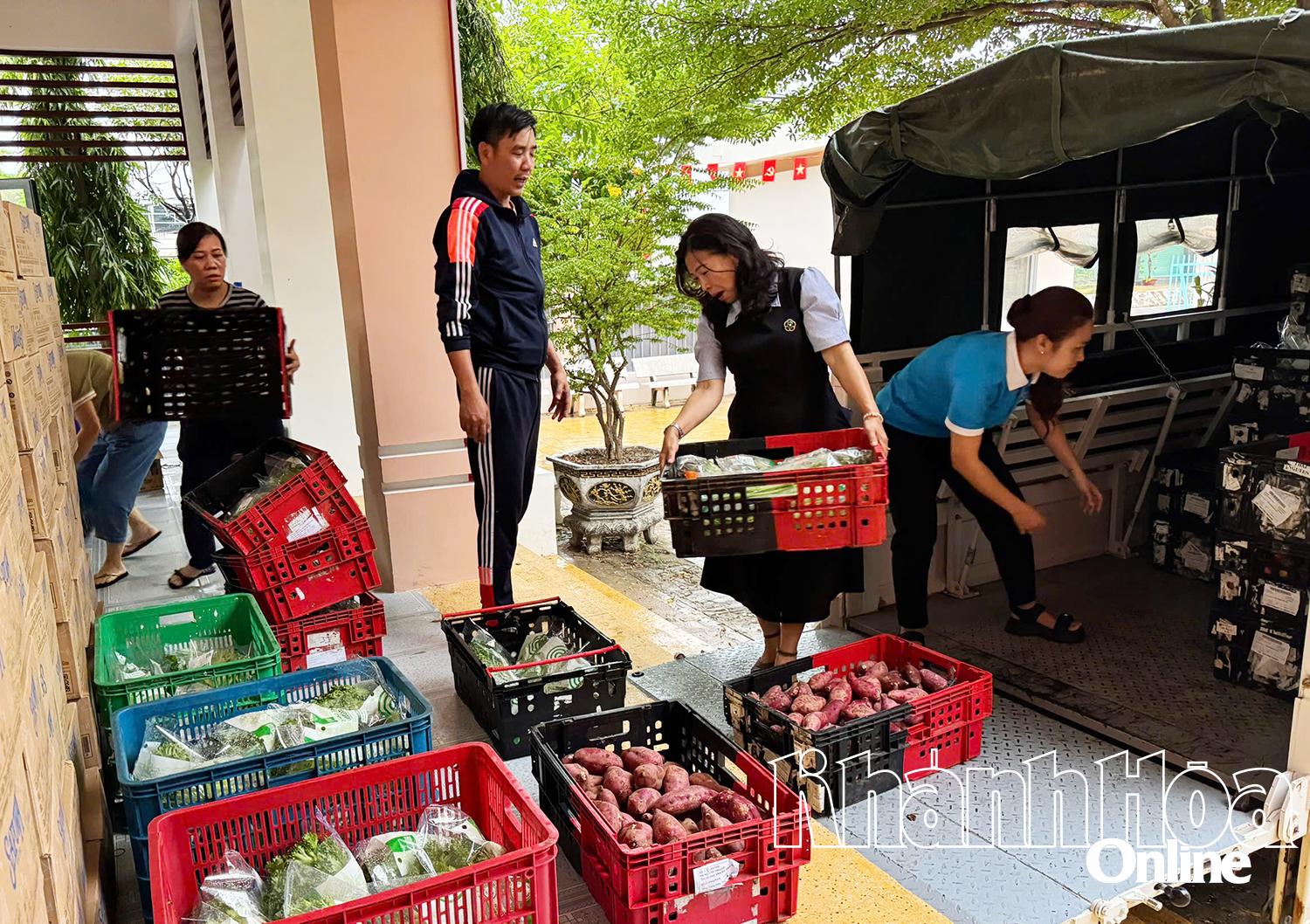 Třídění zeleniny pro rozdávání lidem.