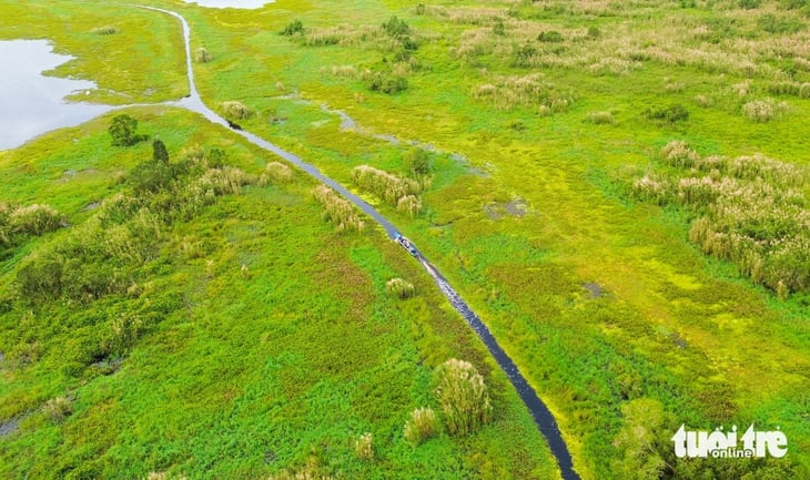 Ngắm già đẫy Java cực quý hiếm ở Vườn quốc gia U Minh Thượng - Ảnh 5.