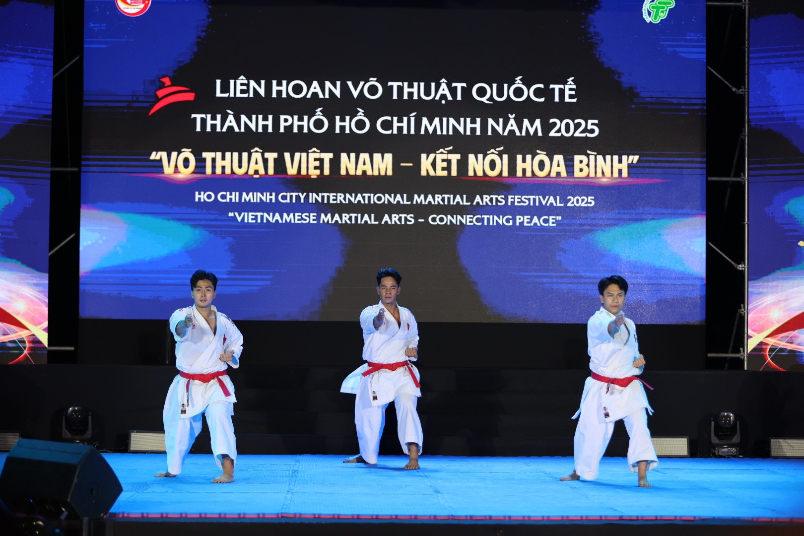 Liên hoan Võ thuật Quốc tế TP HCM 2025: Tôn vinh tinh thần thượng võ, lan tỏa thông điệp hòa bình - Ảnh 1.