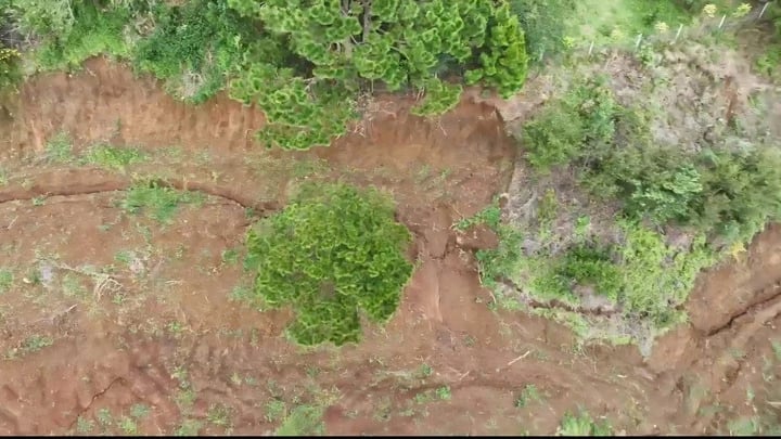 ស្នាមប្រេះមានប្រវែងប្រហែល ៣០០ម ទទឹង ២០-៥០ស.ម និងបានស្រុតជិត ១ម នៅលើភ្នំបាឡាសាញ ស្ថិតក្នុងភូមិឡាកធៀន ២។ រូបថត៖ Thien Trang។ Vết nứt kéo dài khoảng 300m, bề rộng dao động từ 20–50 cm, sụt lún gần 1m, trên quả đồi Ba Lá Xanh, thuộc thôn Lạc Thiện 2. Ảnh: Thiên Trang.