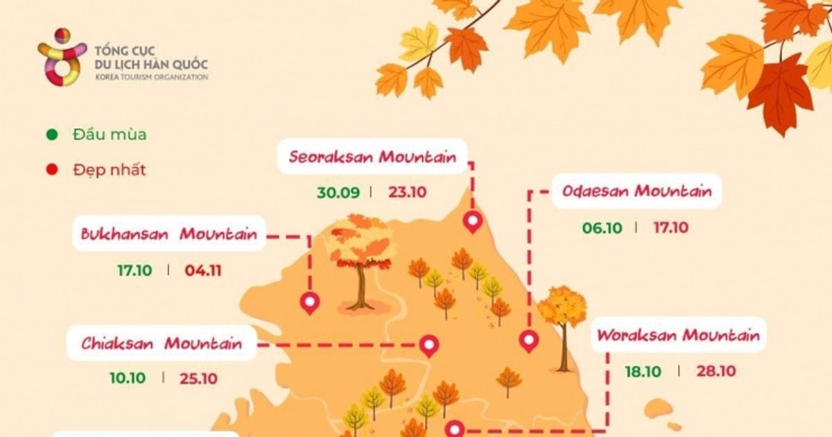 Hàn Quốc mùa thu: Cẩm nang săn lá vàng tại các điểm đến nổi bật