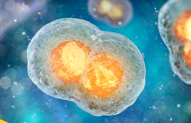 ມະເຮັງທີ່ດື້ຢາ: ຄວາມຫວັງໃໝ່ຈາກການປິ່ນປົວດ້ວຍເຊລ Car-T - ຮູບ 1. Ung thư tái phát, kháng thuốc: Hy vọng mới từ liệu pháp tế bào Car-T- Ảnh 1.