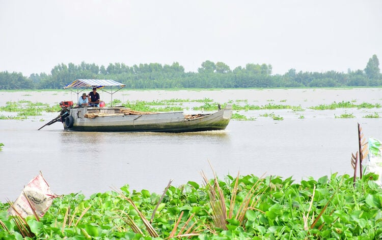 Theo dòng Cái Lớn