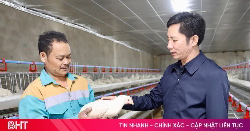 Triển vọng từ mô hình nuôi gà siêu đẻ liên kết ở xã Mai Hoa