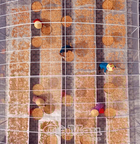 Phát triển làng nghề gắn với đặc sản