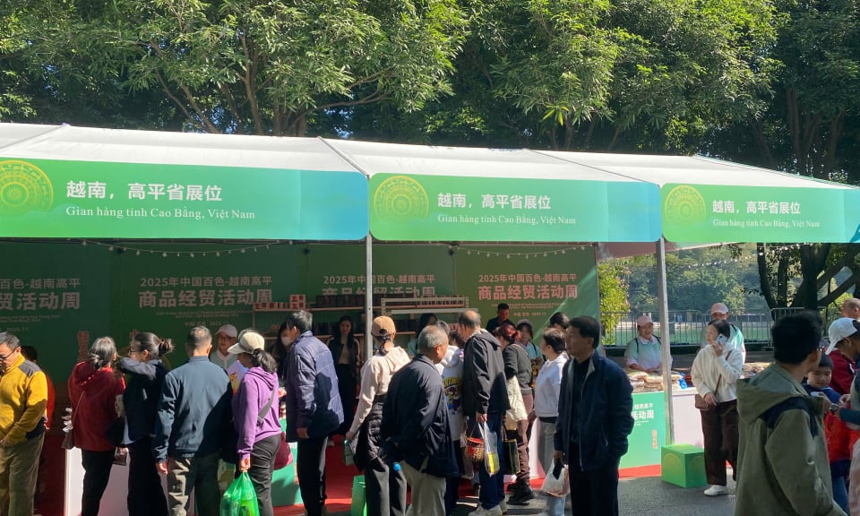 Gần 100 sản phẩm của tỉnh giới thiệu tại Tuần lễ thương mại hàng hóa Bách Sắc (Trung Quốc) - Cao Bằng (Việt Nam) - Báo Cao Bằng điện tử