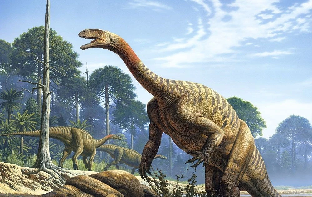 Khám phá khủng long cổ nhất: Plateosaurus và hành trình tiến hóa