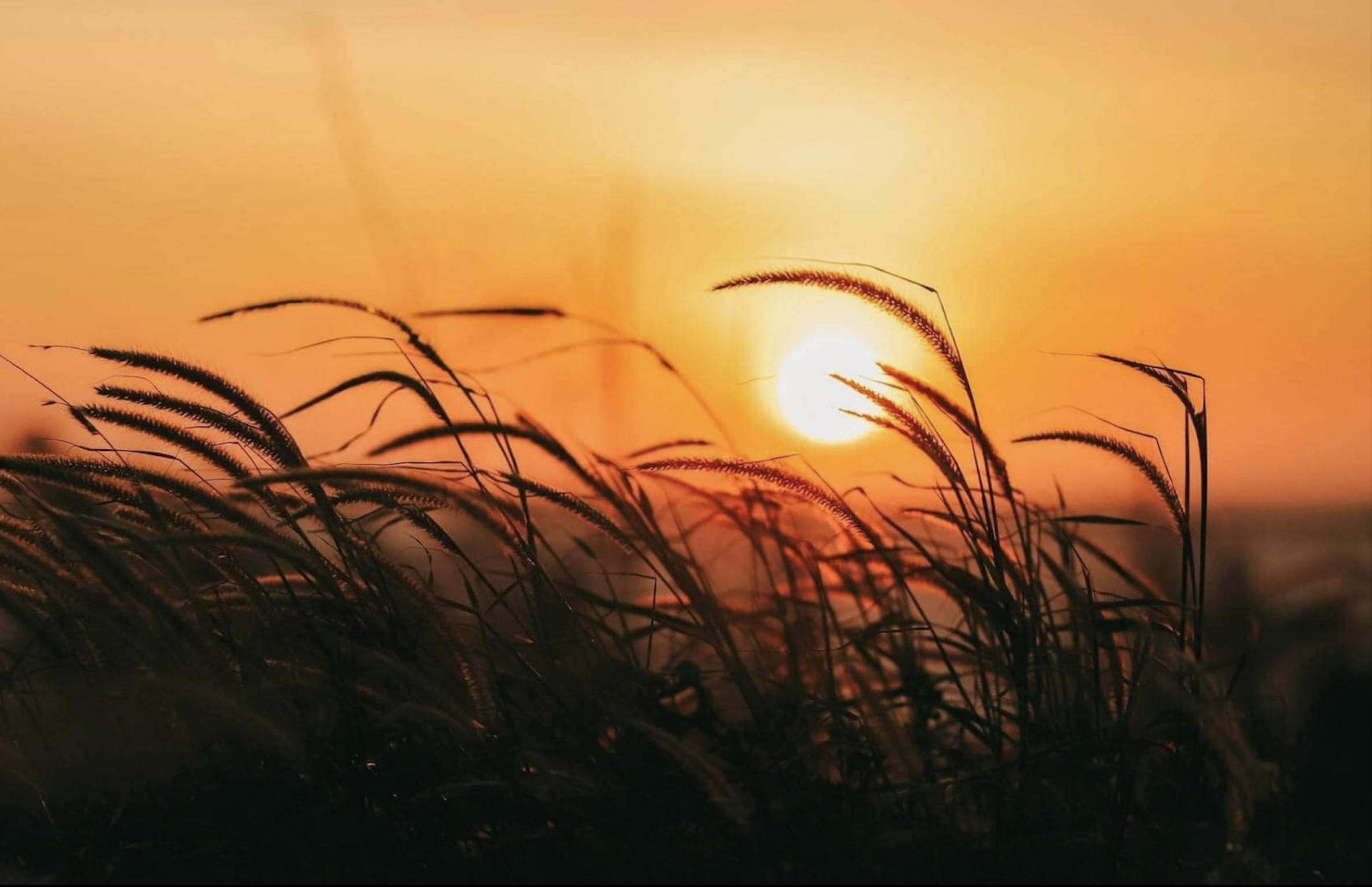 Vi vu "Sapa thu nhỏ": Đắm say vẻ đẹp hùng vĩ và nên thơ của núi rừng Bình Liêu