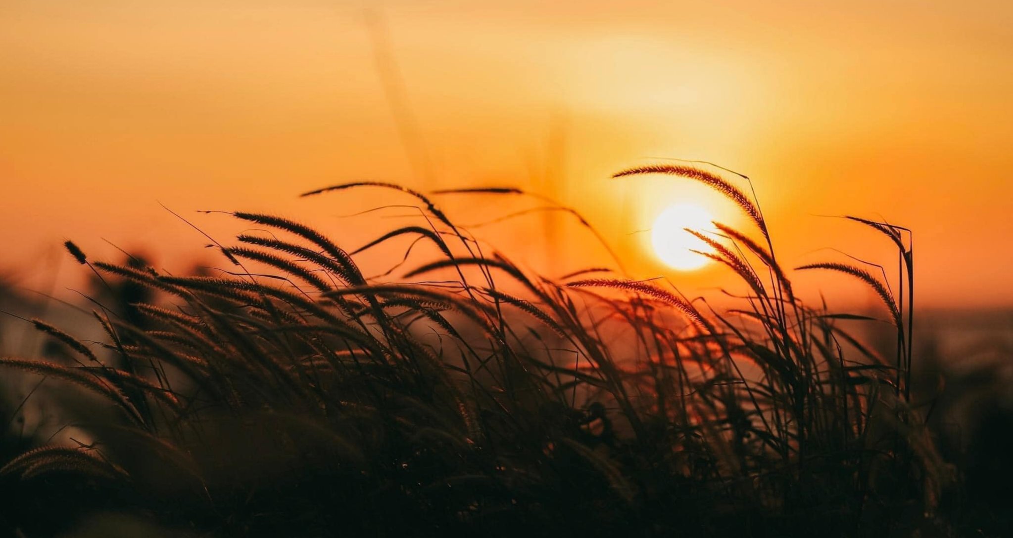 Vi vu "Sapa thu nhỏ": Đắm say vẻ đẹp hùng vĩ và nên thơ của núi rừng Bình Liêu