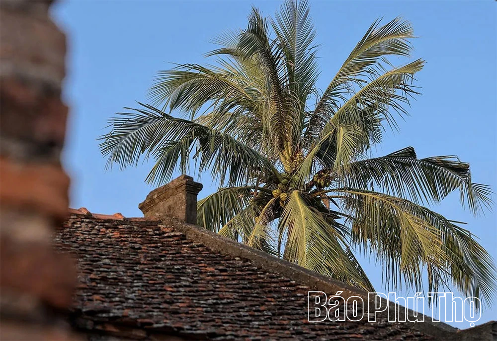 Dai Phuc Tu - Tempat penyimpanan harta nasional