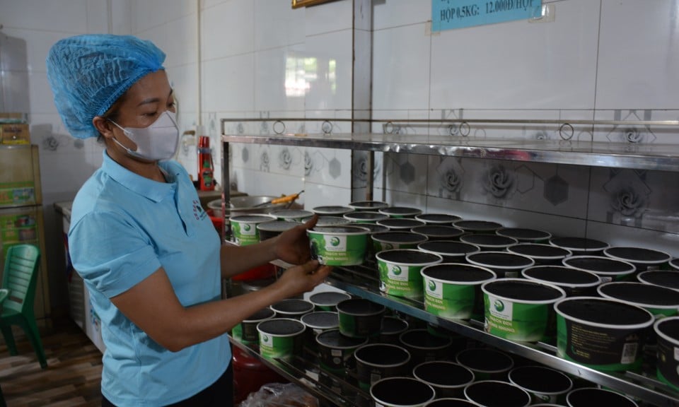 Thất Khê phát triển hợp tác xã