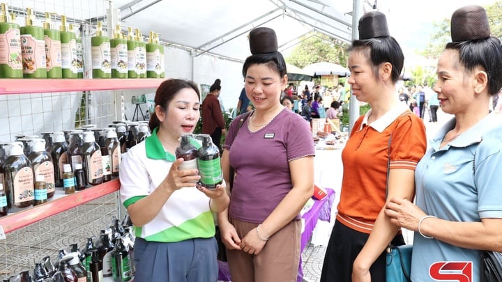 Đảm bảo tiến độ các hợp phần và hoạt động dự án GREAT 2 Sơn La