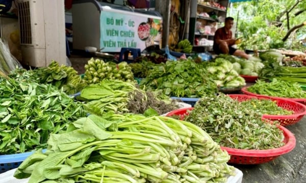 Bộ Công Thương: Nguồn cung rau xanh sẽ sớm ổn định