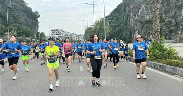 Kỷ lục số lượng vận động viên tham gia Giải Marathon Quốc tế Di sản Hạ Long 2025