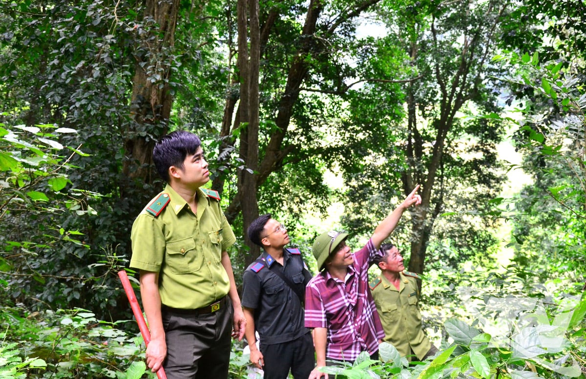 Bảo vệ rừng cao điểm mùa khô