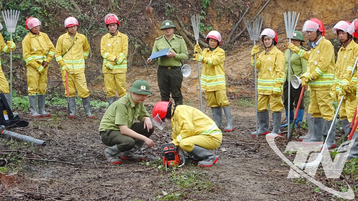 Boswachters organiseren trainingen in het gebruik van bosbrandpreventiemateriaal voor leden van het bosbrandpreventie- en bestrijdingsteam op de basis.