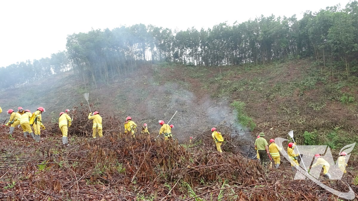 Organiseer bosbrandoefeningen op de faciliteit.