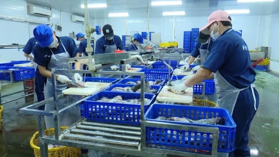 Phát triển nuôi trồng thủy sản ven đô Hà Nội