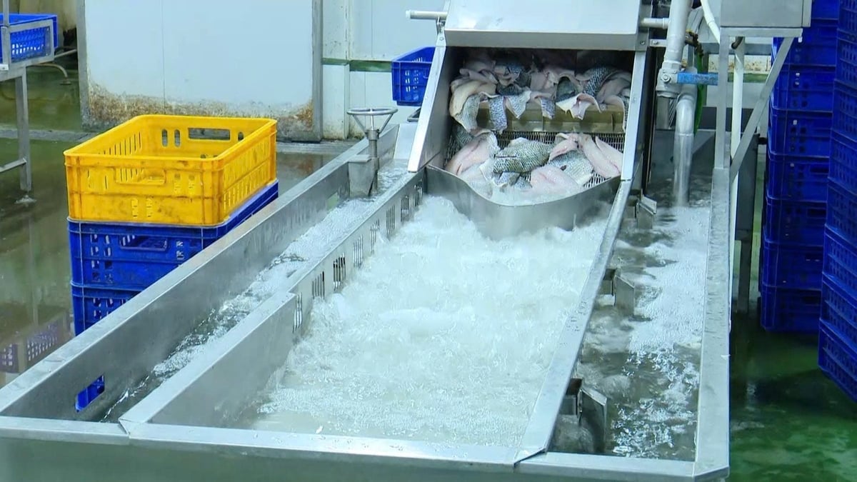 Công tác quản lý dịch bệnh được thực hiện và giám sát định kỳ. 