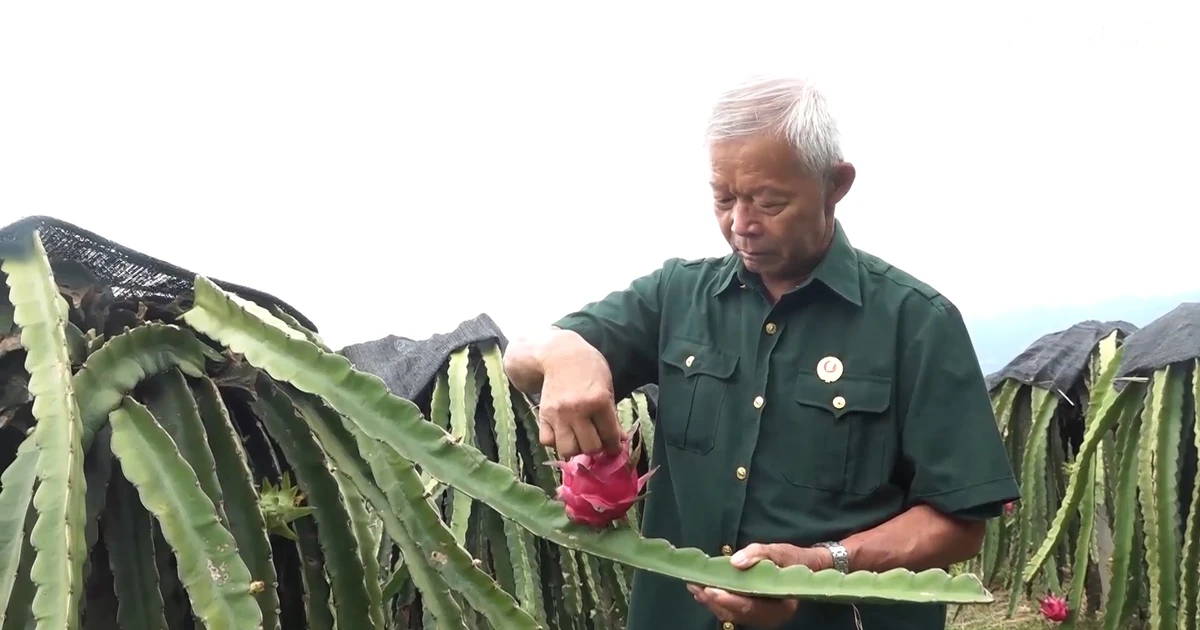 Gương sáng ở Sang Đốm