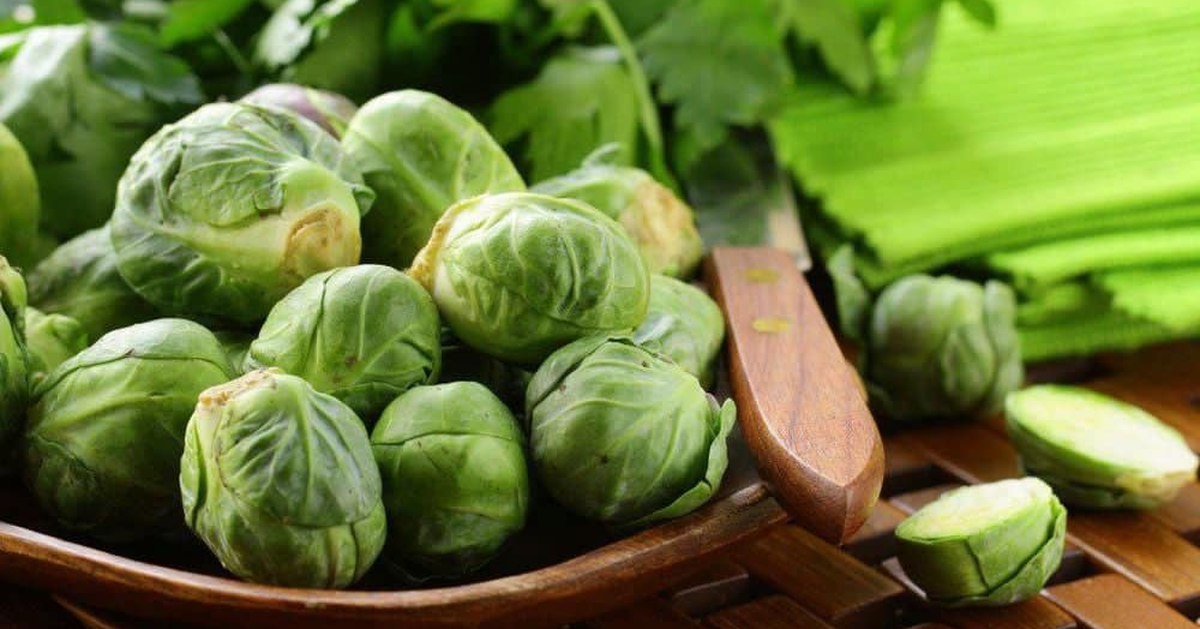 Bắp cải giúp giảm cân, dễ chế biến, nhiều chất xơ, nhưng ai không nên ăn?