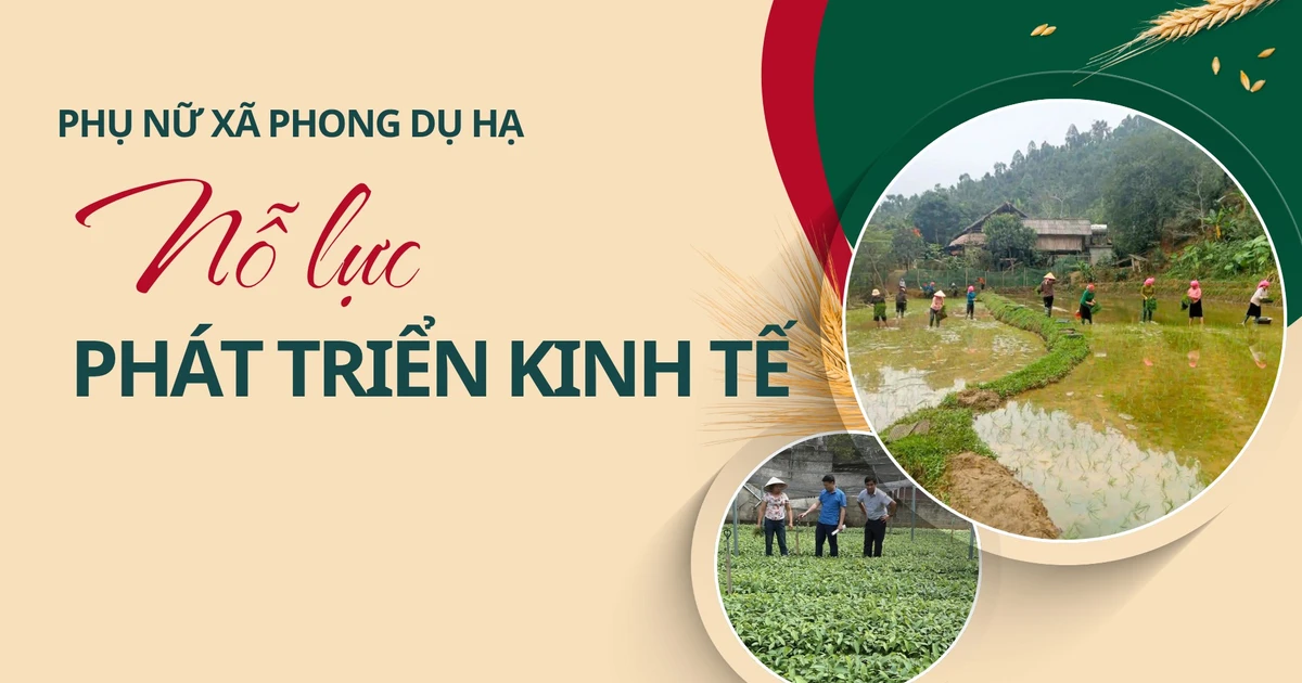 Phụ nữ xã Phong Dụ Hạ nỗ lực phát triển kinh tế