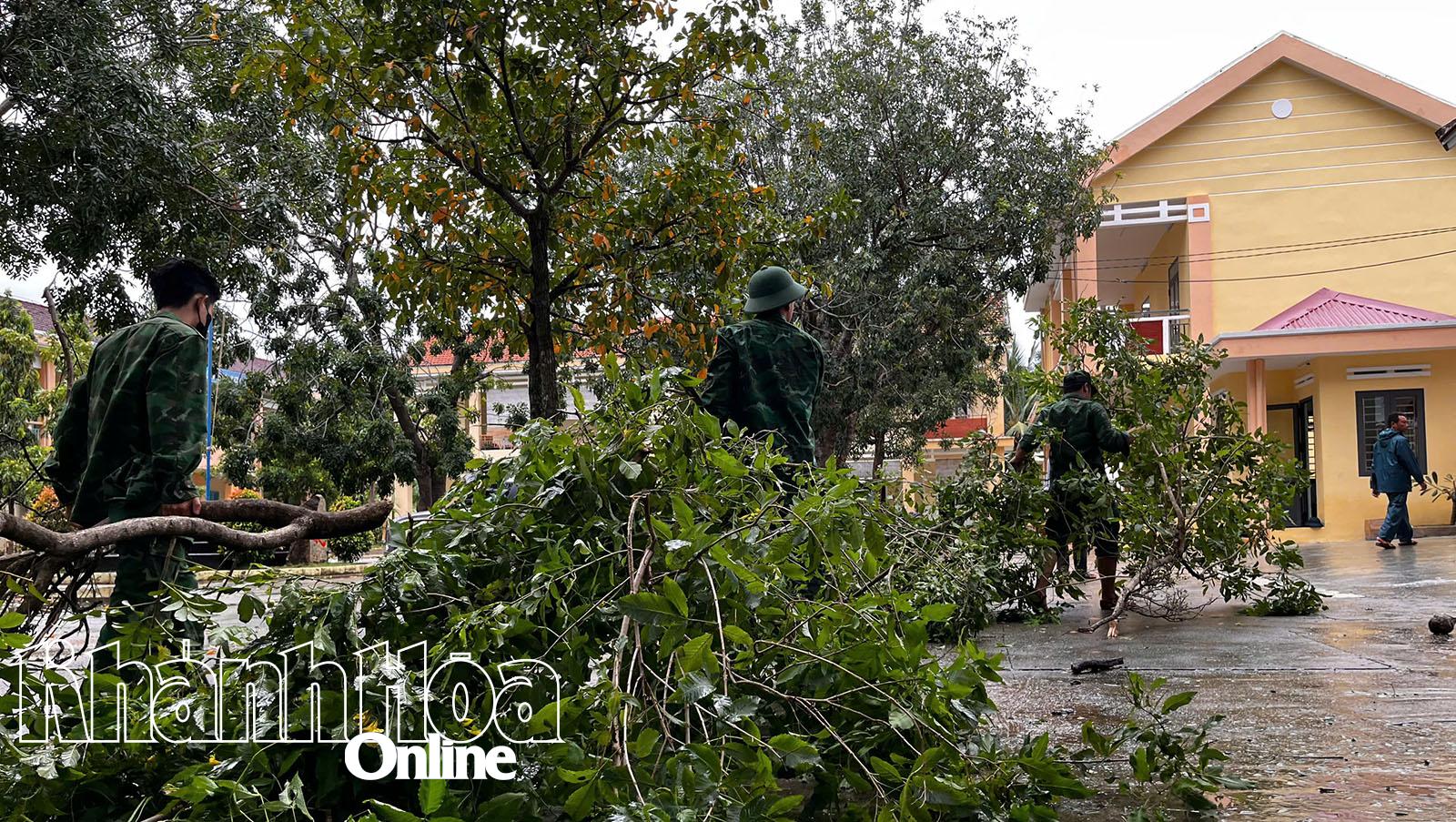 بہت سے ٹوٹے ہوئے اور گرے ہوئے درختوں کو حکام نے فوری طور پر صاف کر دیا۔