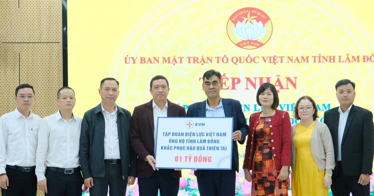 EVN hỗ trợ 1 tỷ đồng giúp Lâm Đồng khắc phục hậu quả mưa lũ