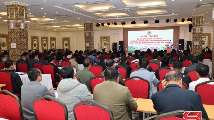 Tập huấn nâng cao năng lực phát triển kinh tế nông nghiệp và xây dựng nông thôn mới