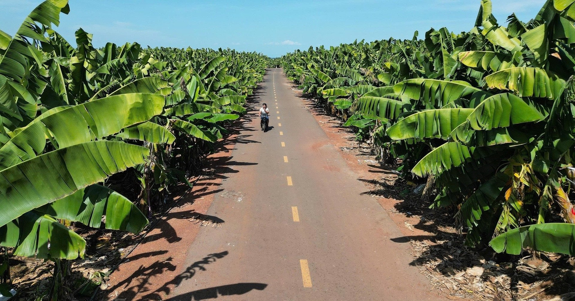 Đồng Nai hợp tác với một thành phố của Nhật Bản để cùng tăng trưởng xanh