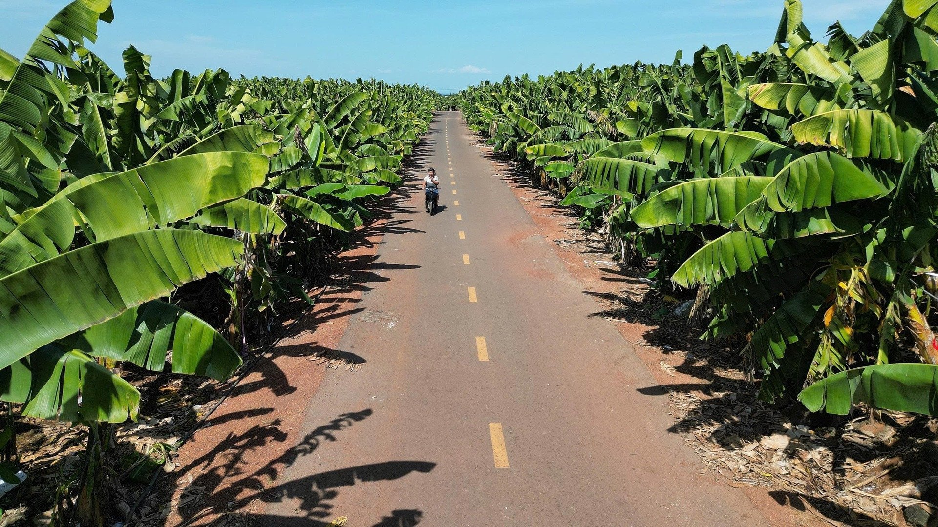 02 ドンナイ.jpeg