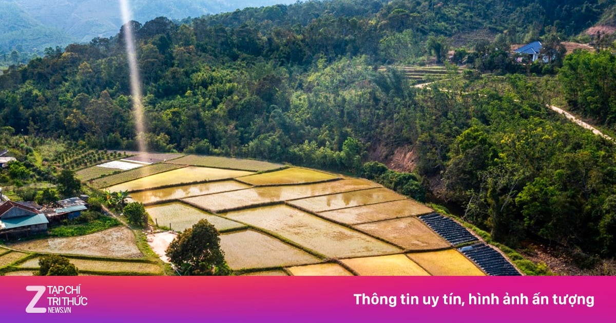 Làng du lịch kín tiếng, giữ nguyên vẻ hoang sơ ở Quảng Ninh
