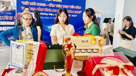 Thủ phủ nghề nuôi yến mới ở miền Tây mở đường xuất khẩu