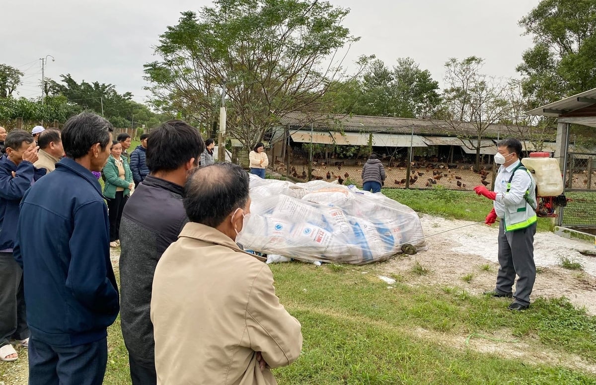 Chuyên gia hướng dẫn người chăn nuôi gia cầm ở xã Đan Điền (TP Huế) phương pháp chăn nuôi an toàn sinh học... Ảnh: Văn Dinh.