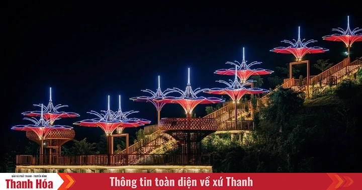 LAMORI by Night: Cuộc đối thoại giữa đại ngàn và vũ trụ