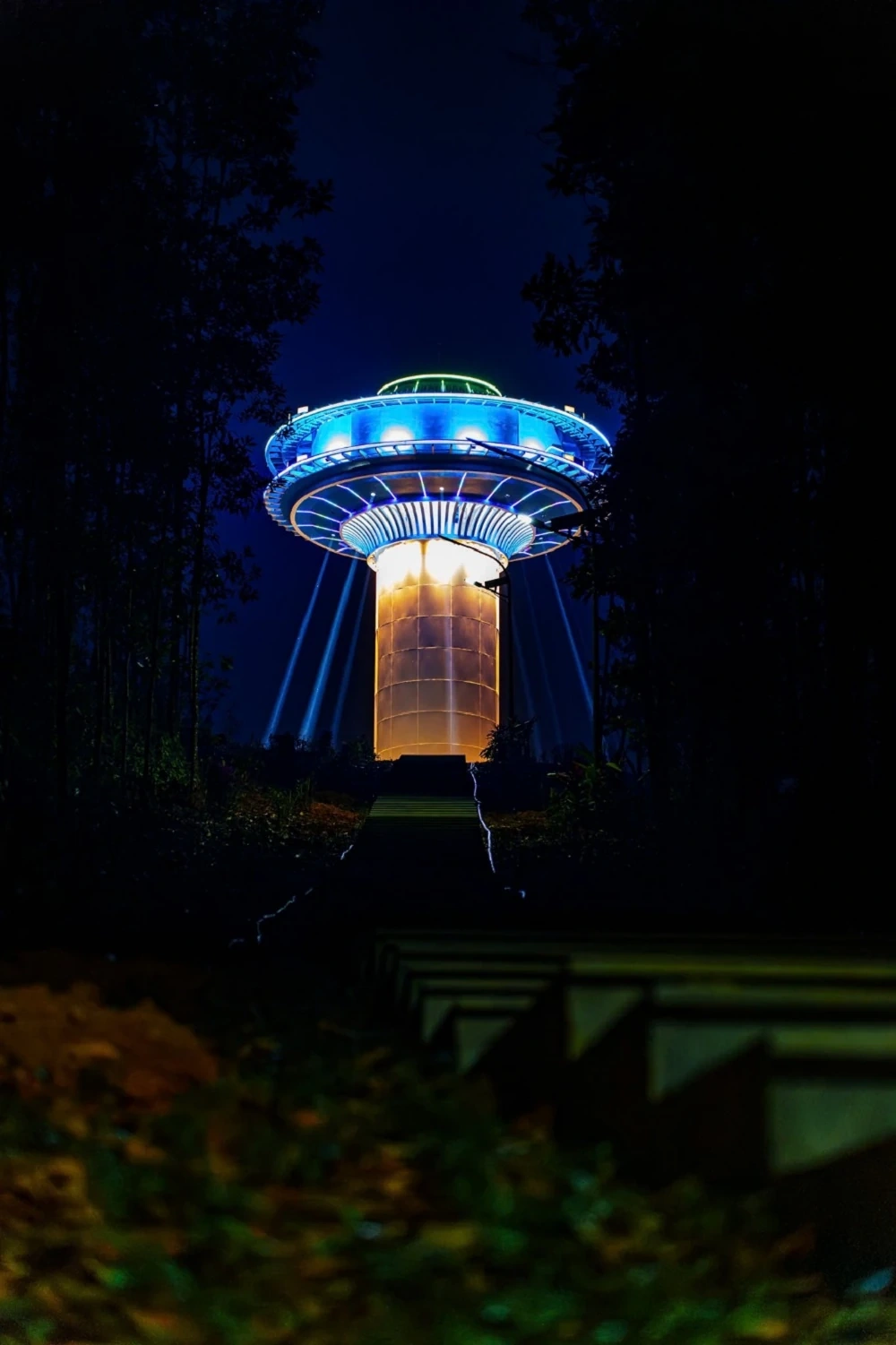 LAMORI v noci: Dialog mezi džunglí a vesmírem