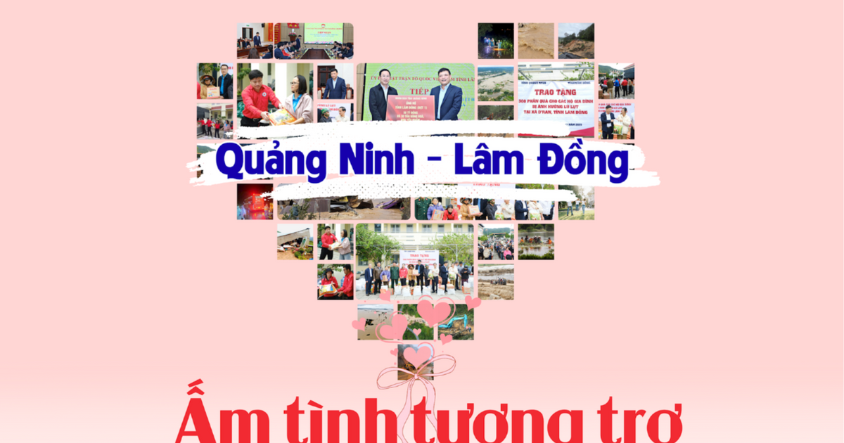 Quảng Ninh - Lâm Đồng: Ấm tình tương trợ, nặng nghĩa đồng bào