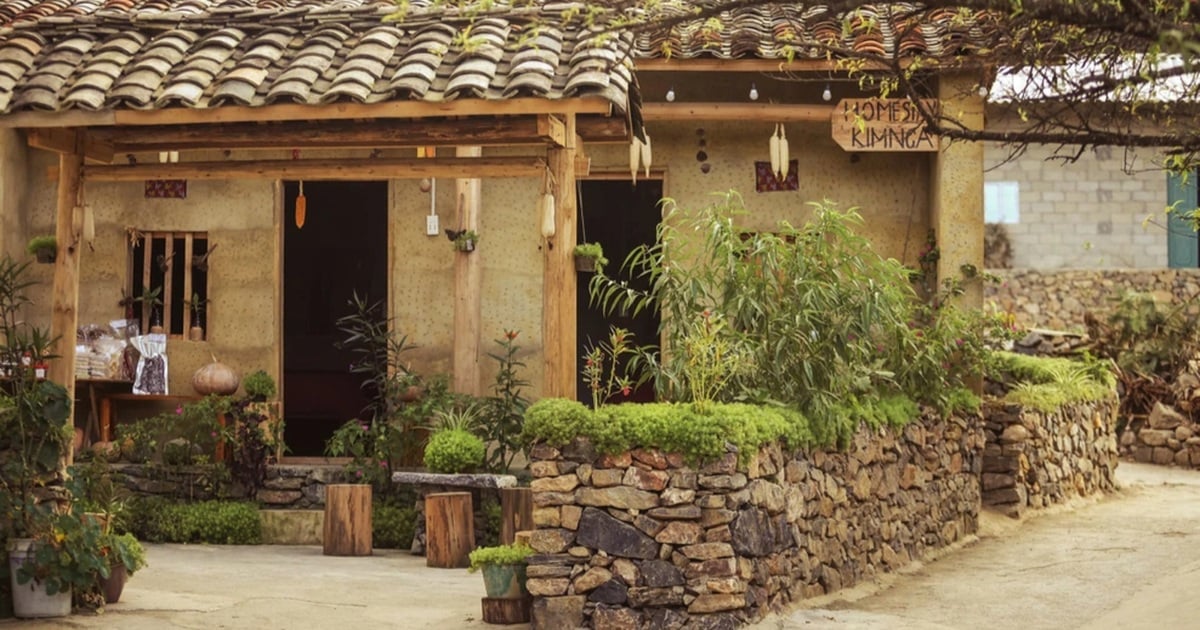 Lô Lô Chải kín khách vì hoa tam giác mạch, giá phòng thổi cao gấp 2-3 lần?