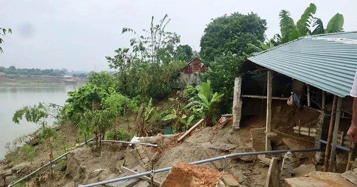 Sạt lở nghiêm trọng uy hiếp hàng chục hộ dân ven sông Lô tại xã Hải Lựu