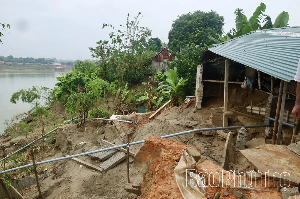 ការបាក់ដីដ៏ធ្ងន់ធ្ងរបានគំរាមកំហែងដល់ផ្ទះរាប់សិបគ្រួសារនៅតាមដងទន្លេ Lo ក្នុងឃុំ Hai Luu