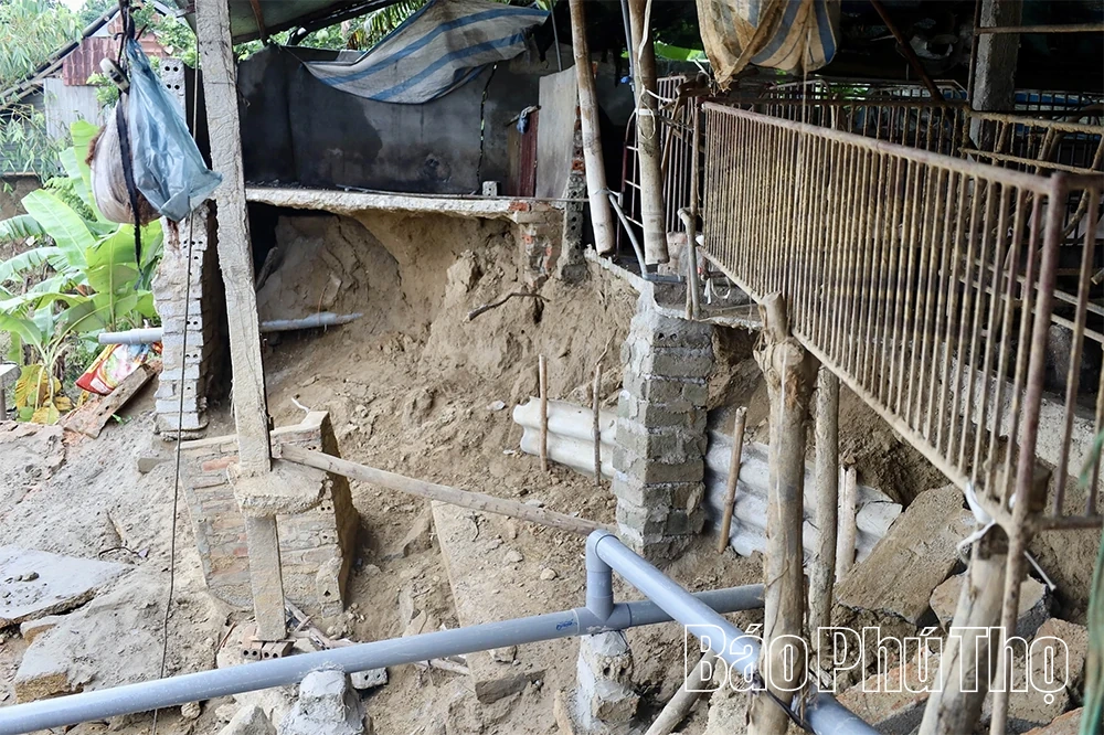 ការបាក់ដីដ៏ធ្ងន់ធ្ងរបានគំរាមកំហែងដល់ផ្ទះរាប់សិបគ្រួសារនៅតាមដងទន្លេ Lo ក្នុងឃុំ Hai Luu