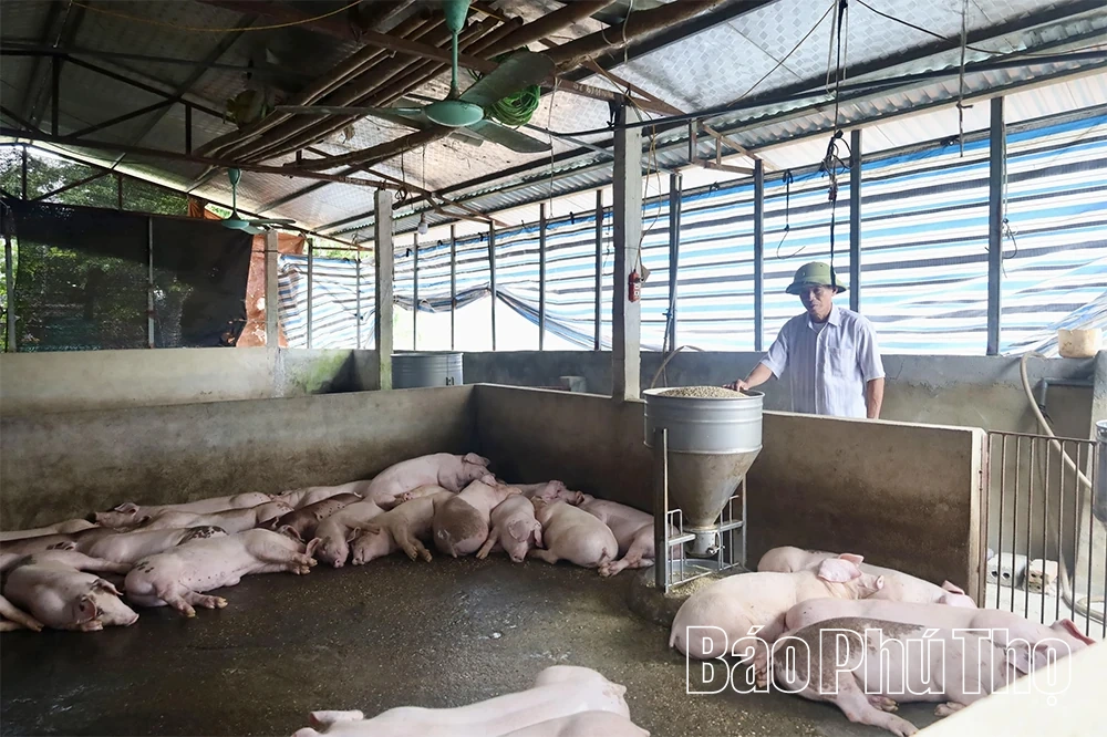 ការបាក់ដីដ៏ធ្ងន់ធ្ងរបានគំរាមកំហែងដល់ផ្ទះរាប់សិបគ្រួសារនៅតាមដងទន្លេ Lo ក្នុងឃុំ Hai Luu