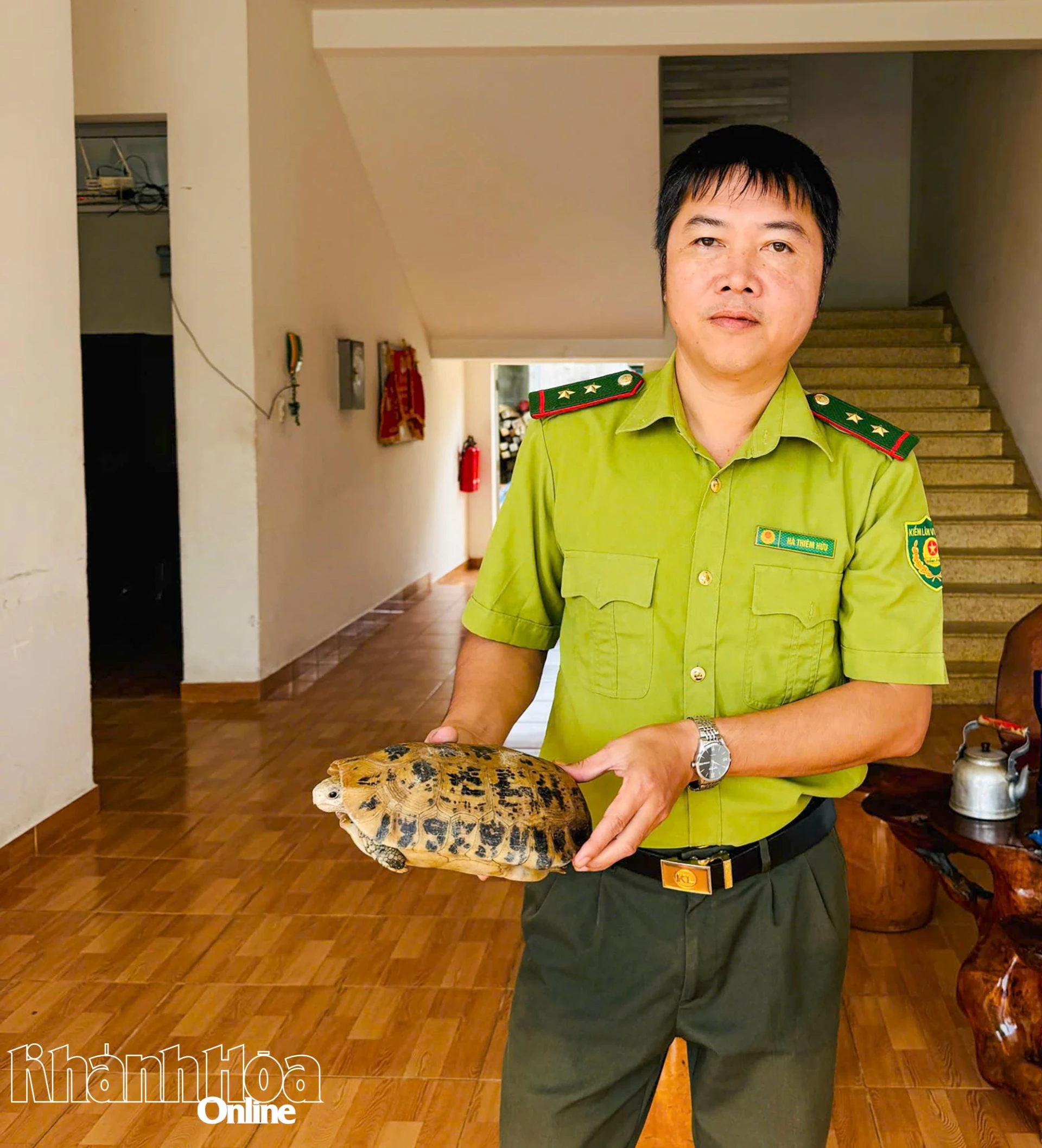 The golden mountain turtle was received by Cam Lam - Cam Ranh Forest Protection Department.
