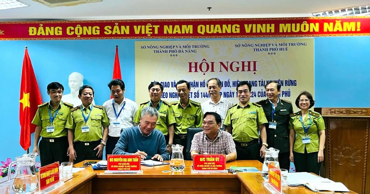 Huế bàn giao hơn 740 ha rừng cho Đà Nẵng