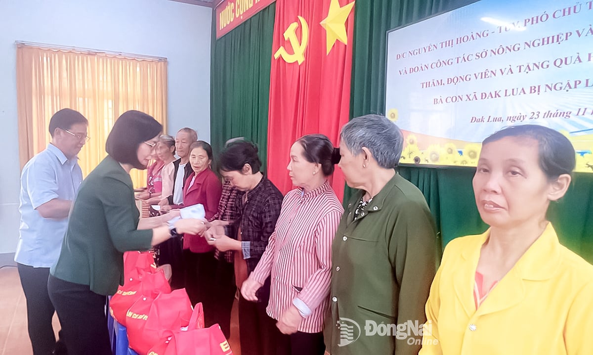 Lãnh đạo UBND tỉnh thăm, tặng quà người dân xã Đak Lua bị ảnh hưởng ngập lụt