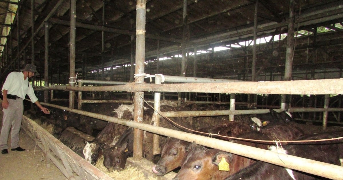 Toàn tỉnh xây dựng ít nhất 150 cơ sở an toàn dịch bệnh động vật