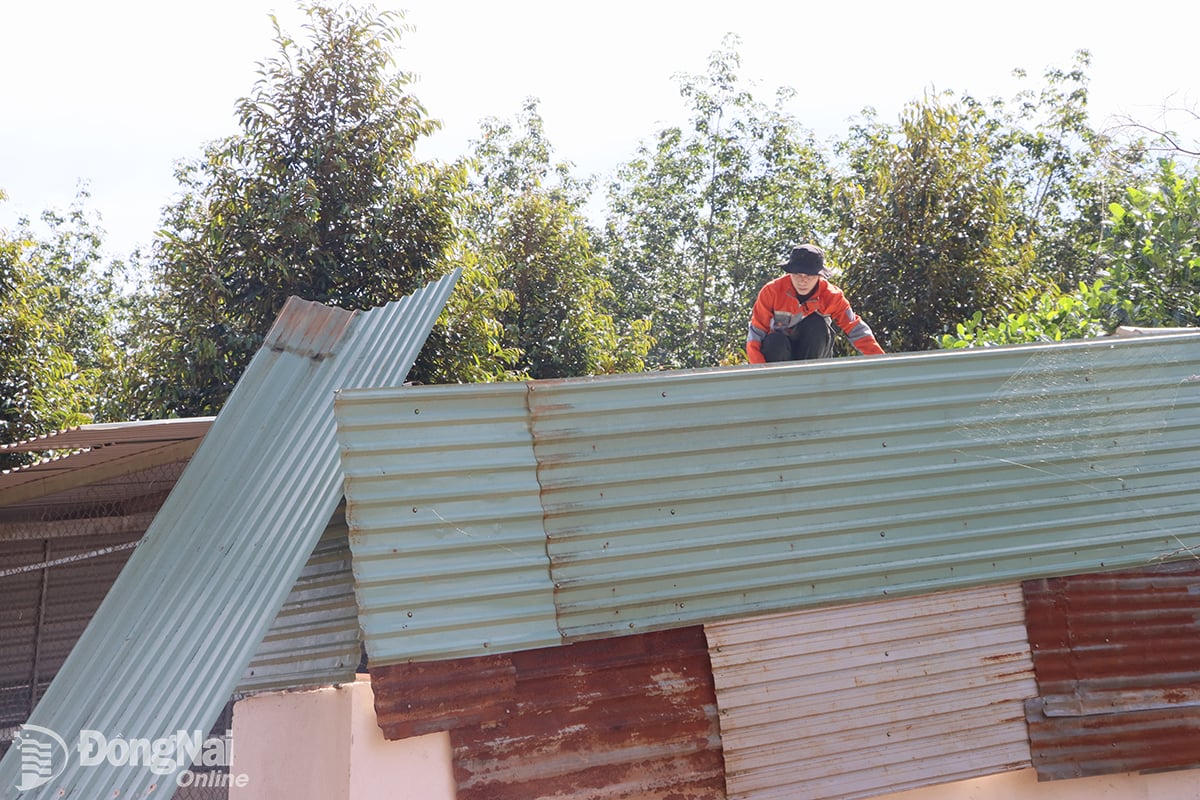 ایک گھرانے نے معاوضے اور معاونت کی پالیسیوں کو سمجھنے کے بعد اس جگہ کے حوالے کرنے کے لیے اپنے گھر کی نالیدار لوہے کی چھت کو رضاکارانہ طور پر گرا دیا۔ تصویر: Xuan Tuc 