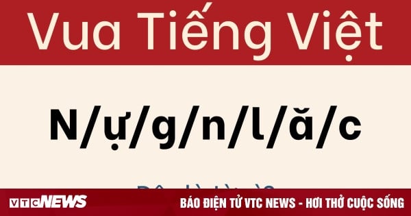 Ngay cả những người thông thái nhất cũng bị câu đố này qua mặt