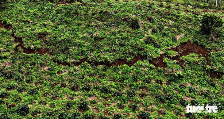 Tiếp tục sơ tán khẩn cấp dân sống gần quả đồi 'rách đôi' ở vùng lũ Đa Nhim - Ảnh 1.